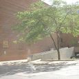 20060604_down_town_04