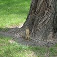 20060528_01 MSU