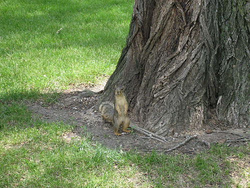 20060528_01 MSU
