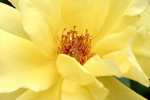 20060618_05